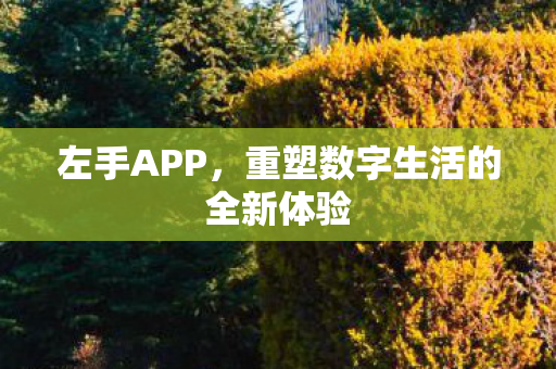重塑数字生活的全新体验图片