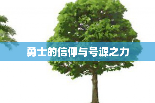 勇士的信仰与号源之力图片