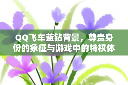尊贵身份的象征与游戏中的特权体验图片