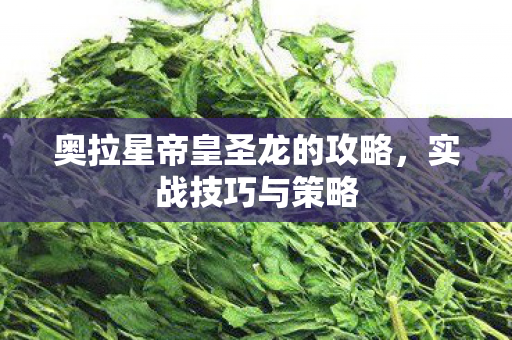 奥拉星帝皇圣龙的攻略图片