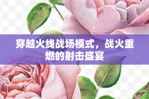 战火重燃的射击盛宴图片