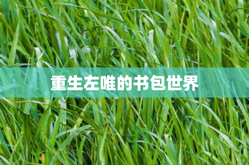 重生左唯的书包世界图片