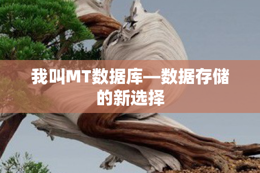 数据存储的新选择图片