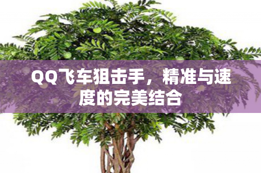 精准与速度的完美结合图片