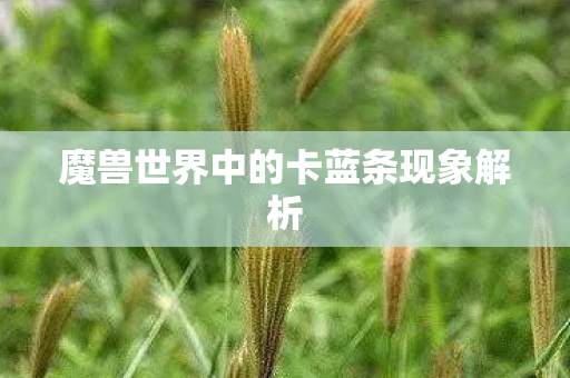 魔兽世界中的卡蓝条现象解析图片