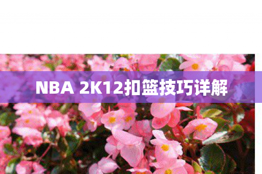 NBA 2K12扣篮技巧详解图片