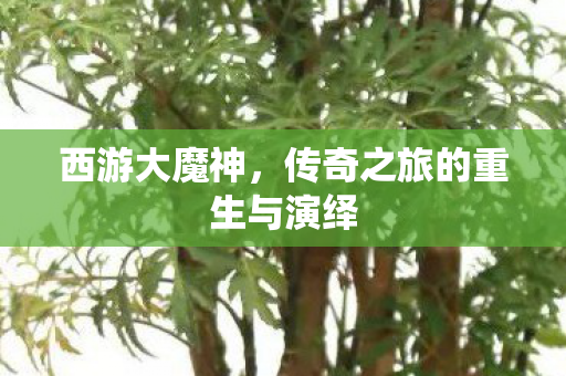 传奇之旅的重生与演绎图片
