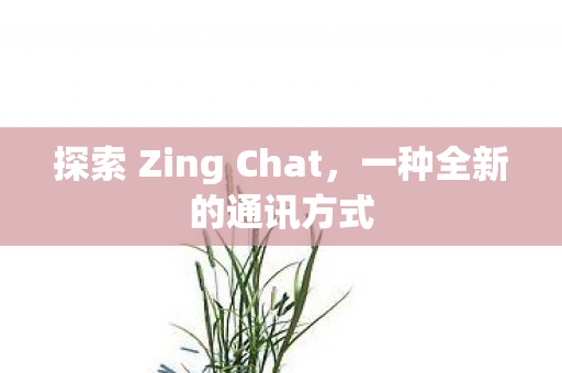 探索 Zing Chat图片