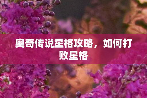奥奇传说星格攻略图片