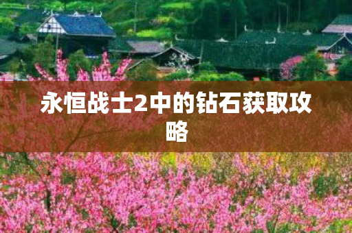永恒战士2中的钻石获取攻略图片