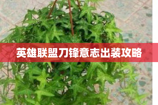 英雄联盟刀锋意志出装攻略图片