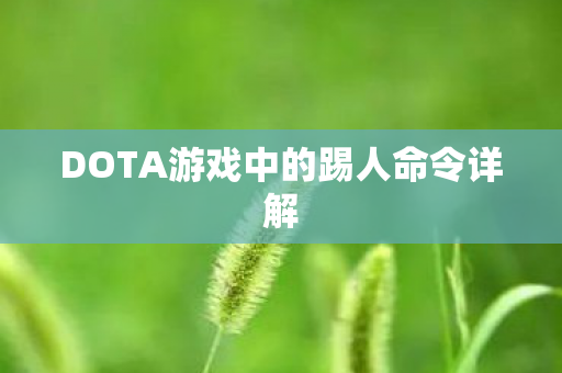 DOTA游戏中的踢人命令详解图片