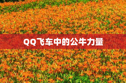 QQ飞车中的公牛力量图片