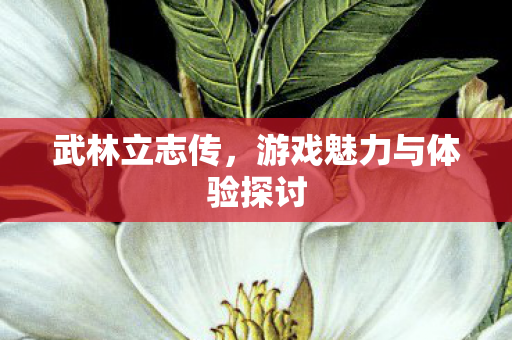 游戏魅力与体验探讨图片