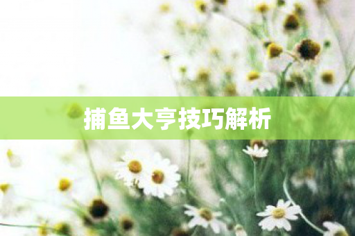 捕鱼大亨技巧解析图片