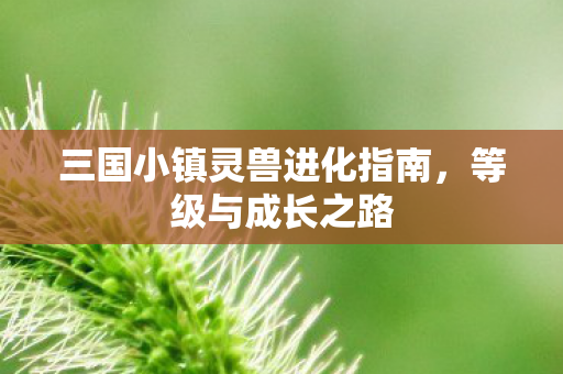 三国小镇灵兽进化指南图片