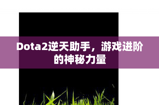 Dota2逆天助手图片