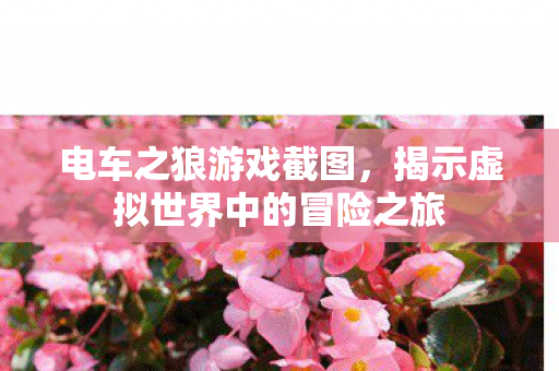 揭示虚拟世界中的冒险之旅图片