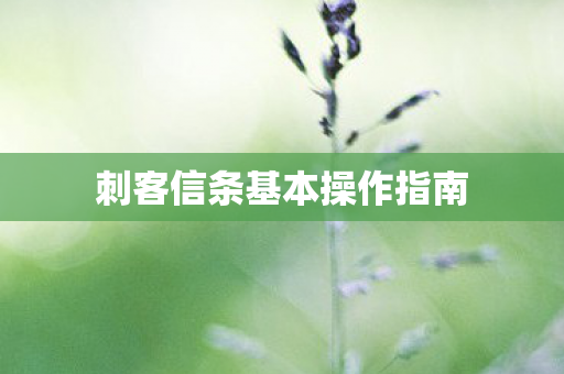 刺客信条基本操作指南图片
