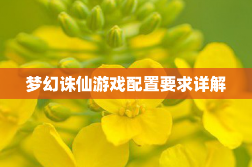 梦幻诛仙游戏配置要求详解图片