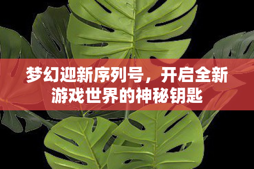 开启全新游戏世界的神秘钥匙图片