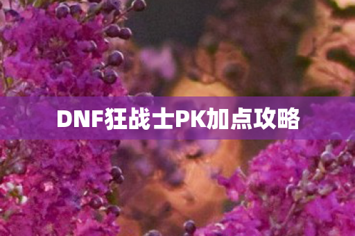 DNF狂战士PK加点攻略图片