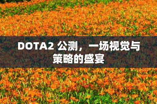 一场视觉与策略的盛宴图片