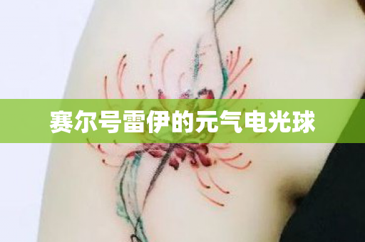赛尔号雷伊的元气电光球图片