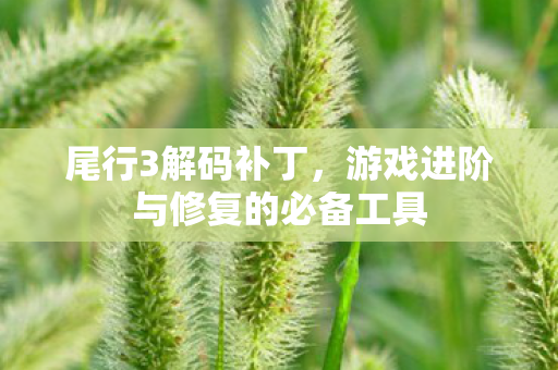 游戏进阶与修复的必备工具图片