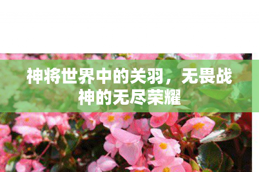 无畏战神的无尽荣耀图片