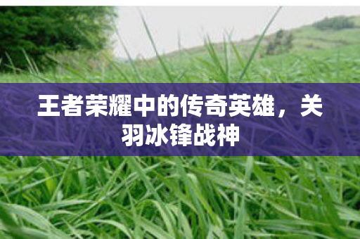 王者荣耀中的传奇英雄图片