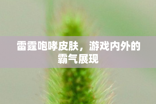 游戏内外的霸气展现图片