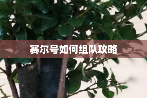 赛尔号如何组队攻略图片