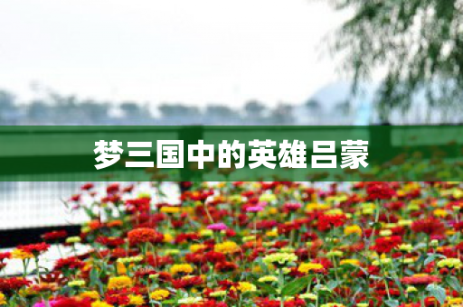 梦三国中的英雄吕蒙图片