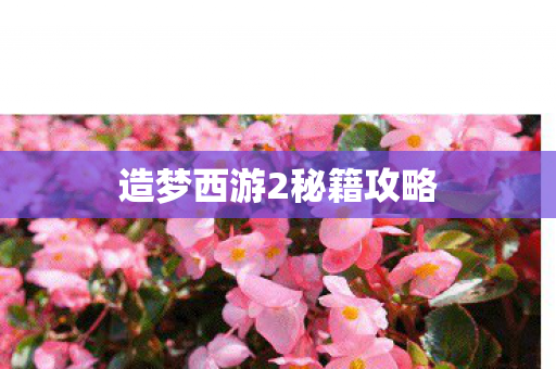 造梦西游2秘籍攻略图片