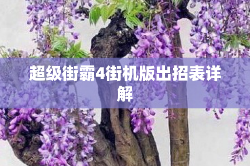 超级街霸4街机版出招表详解图片
