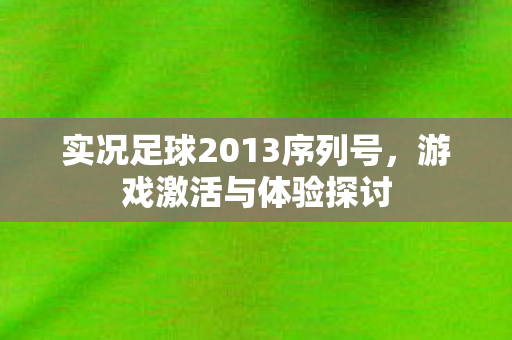 实况足球2013序列号图片