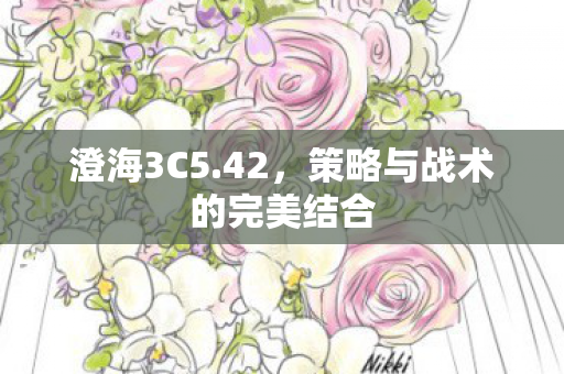 策略与战术的完美结合图片