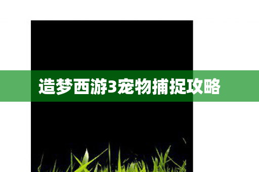 造梦西游3宠物捕捉攻略图片