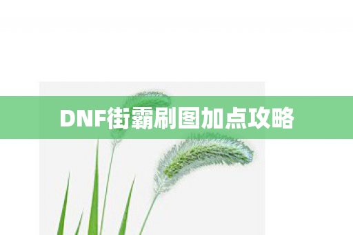 DNF街霸刷图加点攻略