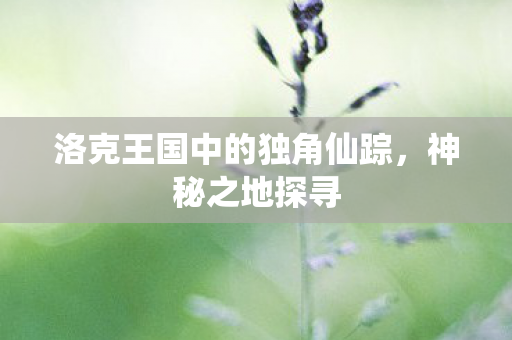 洛克王国中的独角仙踪,神秘之地探寻 洛克王国中的独角仙踪,神秘之地探寻