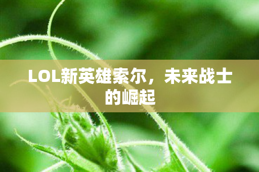LOL新英雄索尔,未来战士的崛起 LOL新英雄索尔,未来战士的崛起