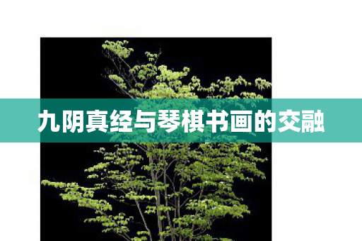 九阴真经与琴棋书画的交融 九阴真经与琴棋书画的交融