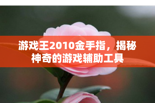 游戏王2010金手指,揭秘神奇的游戏辅助工具 游戏王2010金手指,揭秘神奇的游戏辅助工具