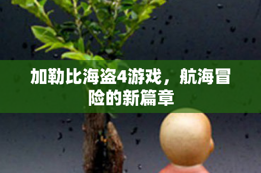 加勒比海盗4游戏图片