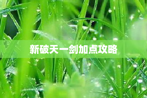 新破天一剑加点攻略图片