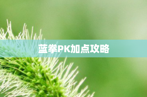 蓝拳PK加点攻略图片