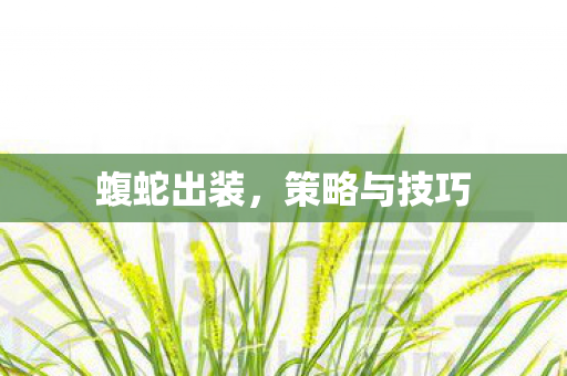策略与技巧图片