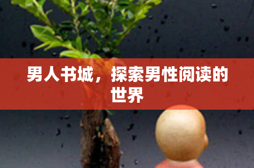 男人书城,探索男性阅读的世界 男人书城,探索男性阅读的世界