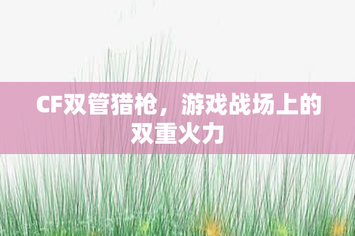 CF双管猎枪,游戏战场上的双重火力 CF双管猎枪,游戏战场上的双重火力